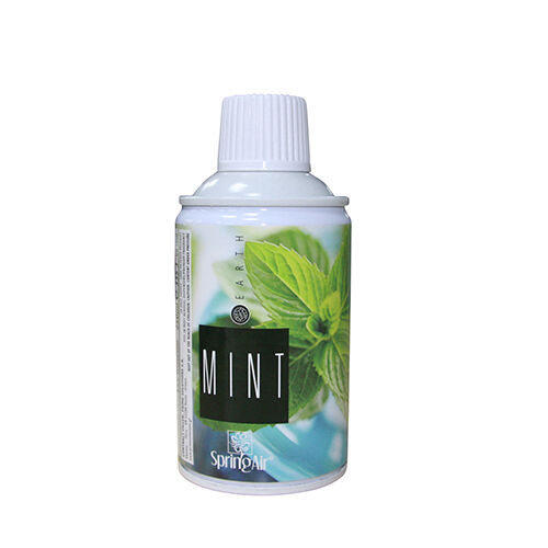 Mint Raumduft, 250 ml Dose