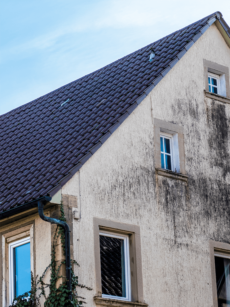 Reinwasser auf Fenster